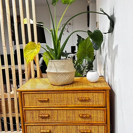 Loft Apartamento Rezé