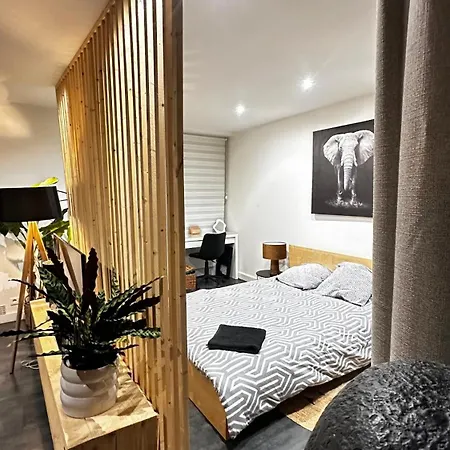 Appartement Loft